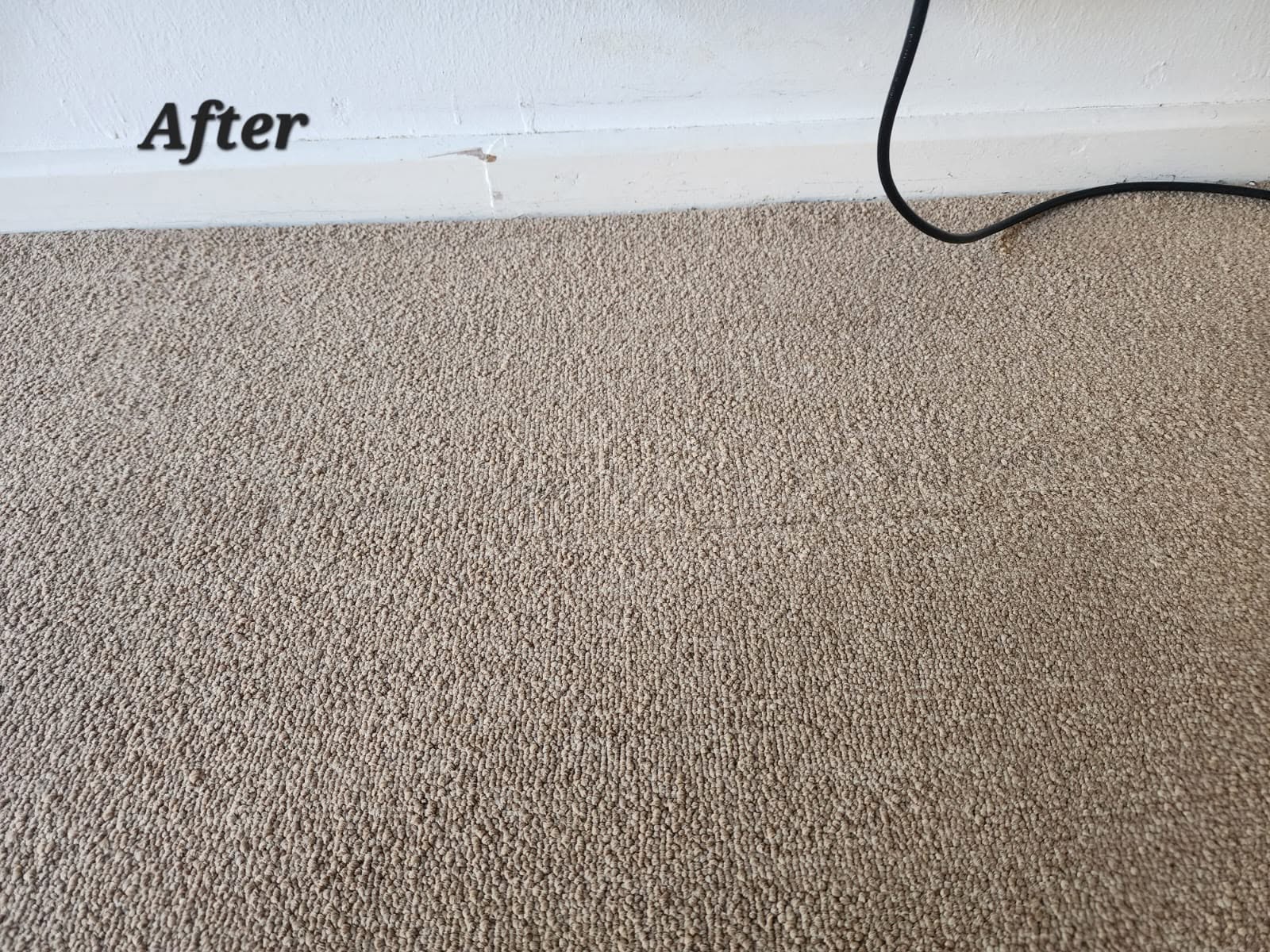 Expert carpet cleaning service Bellville and surrounds